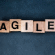 Agile werken